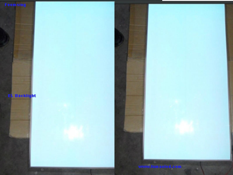 Super Quality and Lowest Price EL Panel