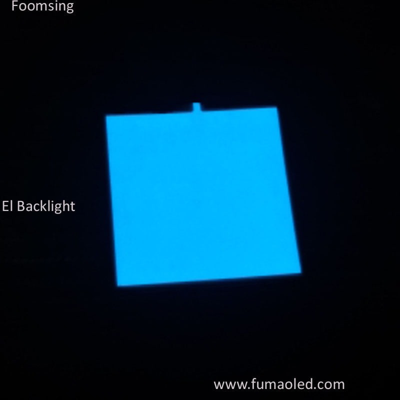 A0 Size EL Backlight